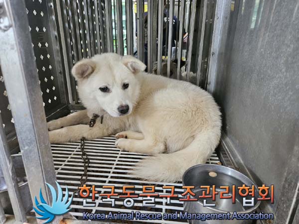 한국동물구조관리협회_441406202401138